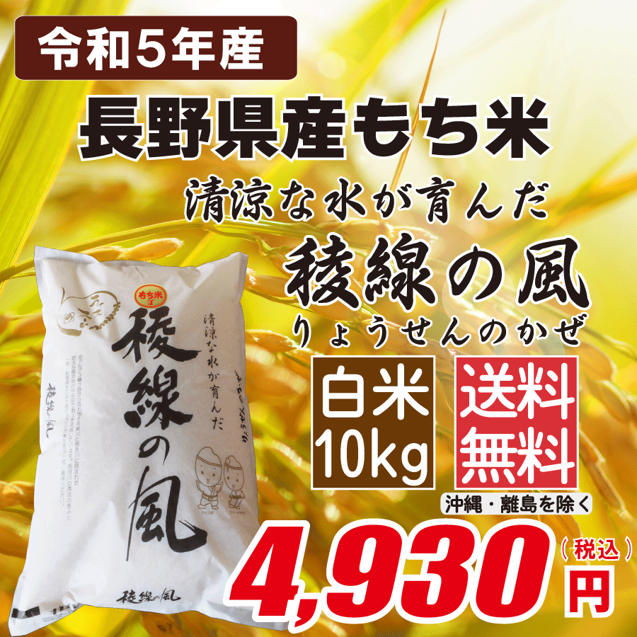 長野県産もち米(オラガモチ) 白米10kg画像