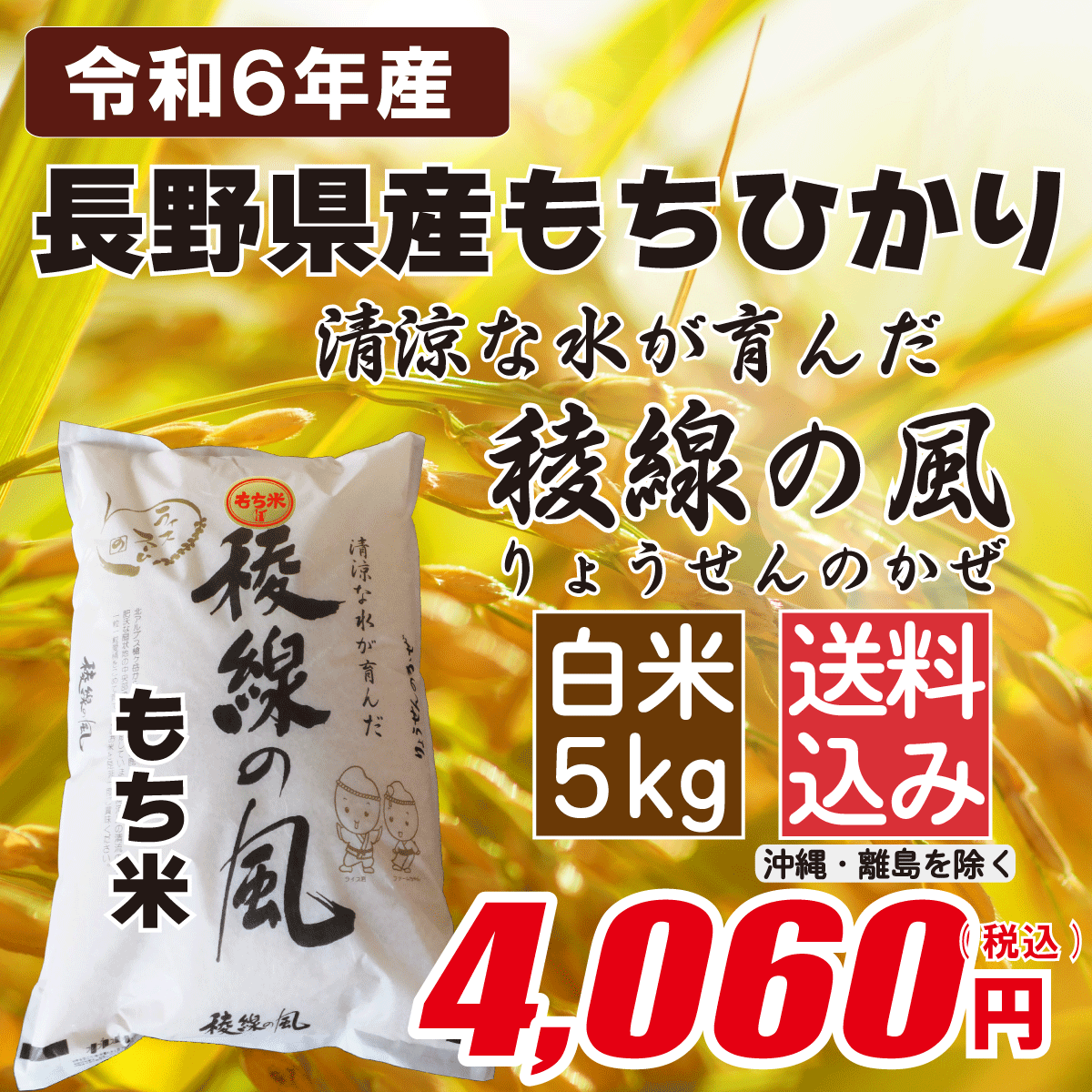 長野県産もちひかり 白米5kgの画像