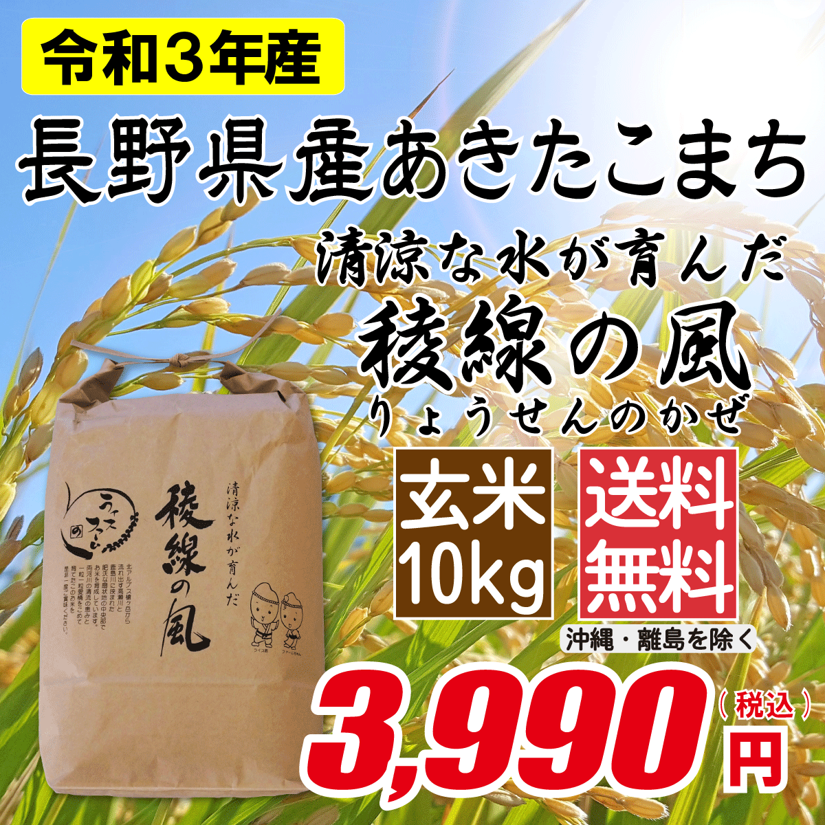 長野県産あきたこまち 玄米10kg画像