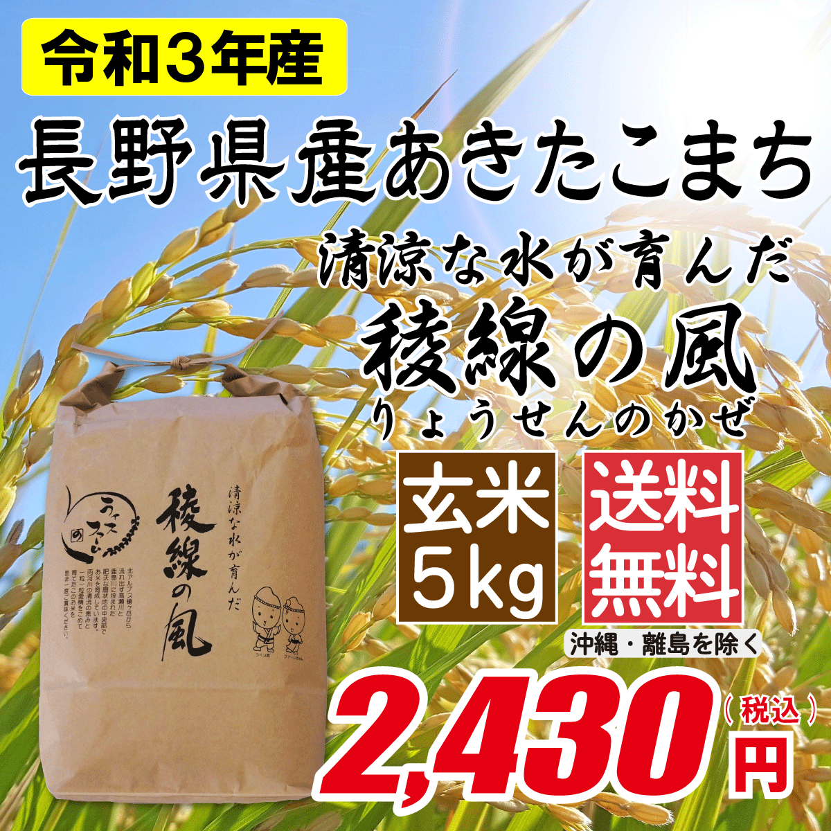 長野県産あきたこまち 玄米5kg画像
