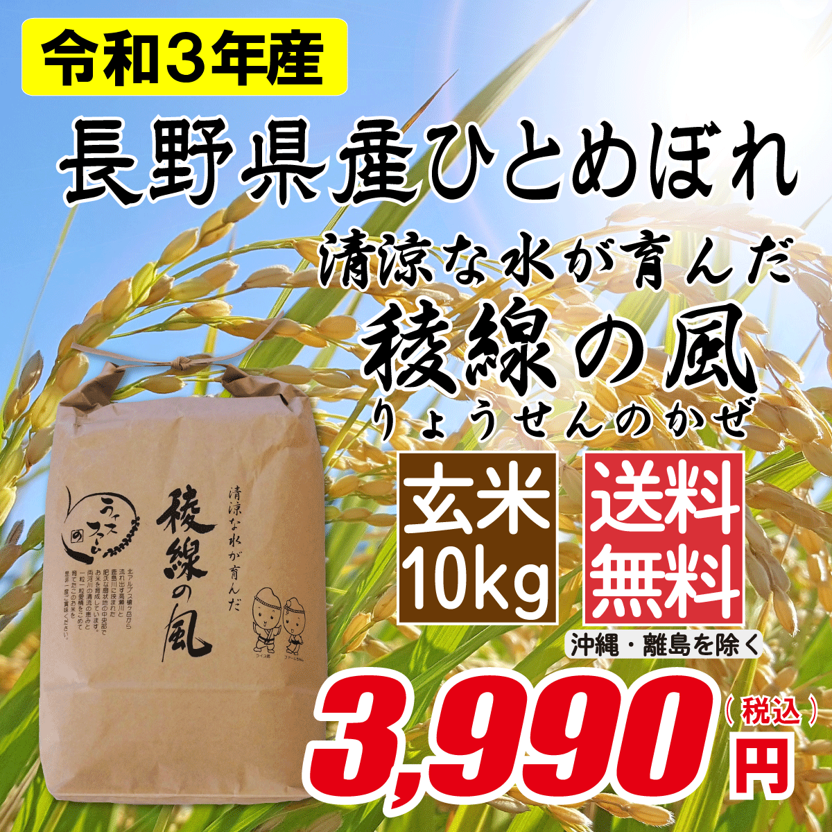 長野県産ひとめぼれ 玄米10kg画像