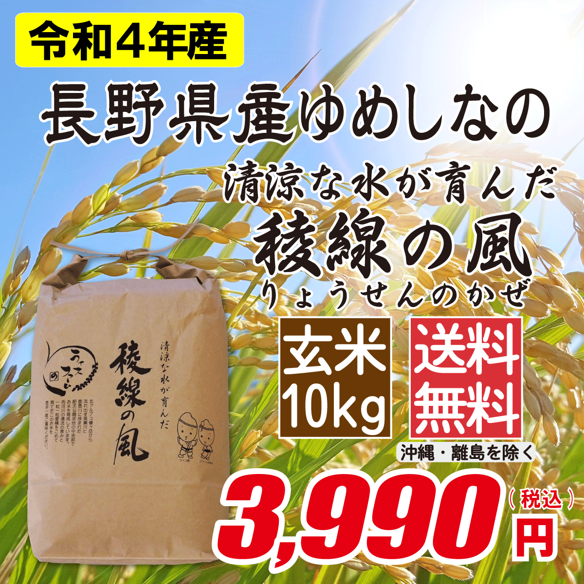 長野県産ゆめしなの 玄米10kg画像