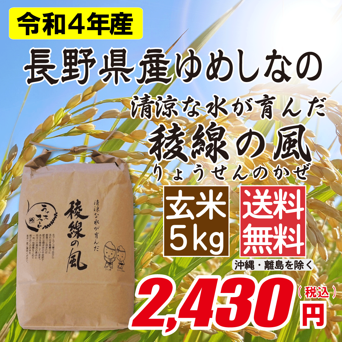 長野県産ゆめしなの 玄米5kg画像