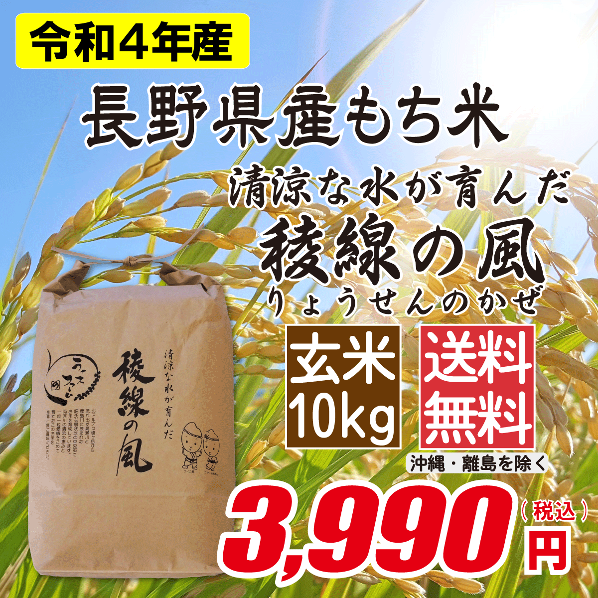 長野県産もち米(オラガモチ) 玄米10kg画像