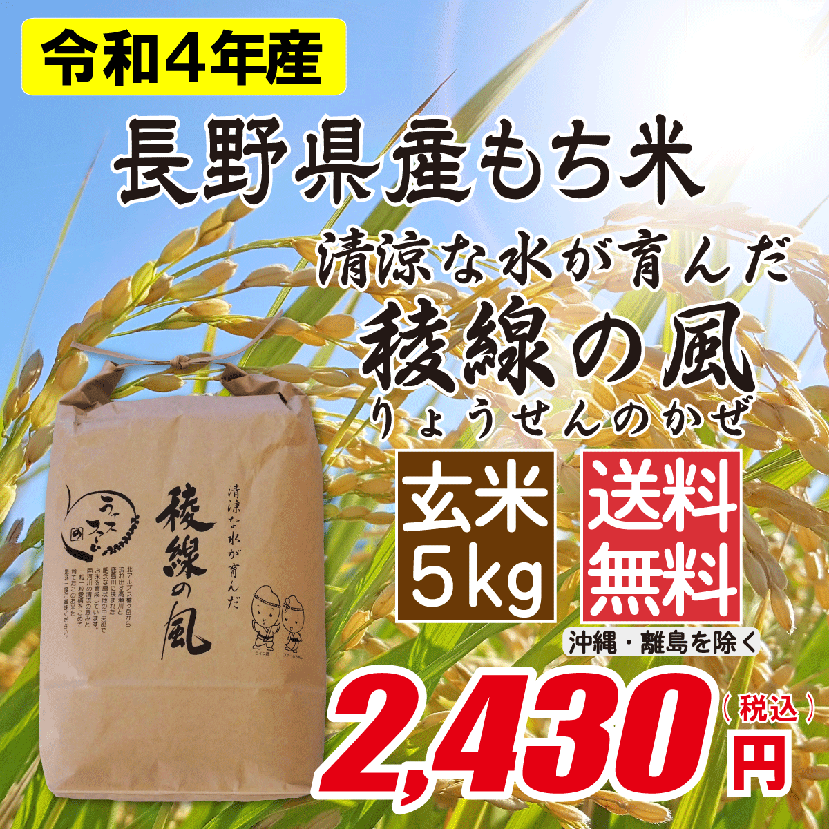長野県産もち米(オラガモチ) 玄米5kg画像