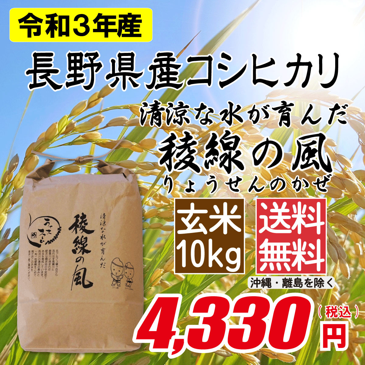 長野県産コシヒカリ 玄米10kg画像