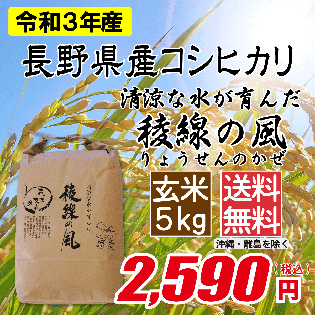 長野県産コシヒカリ 玄米5kg | よい米.com ライスファーム野口