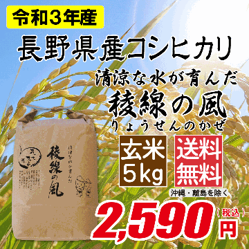 長野県産コシヒカリ 玄米5kg画像