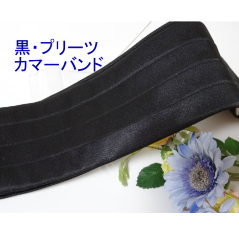 燕尾服に白いカマーバンド、タキシード・パソドブレには黒がお勧め