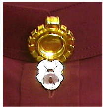 フジヤマ ボタンブローチC　シャツのボタンが輝くアクセサリーに変身画像