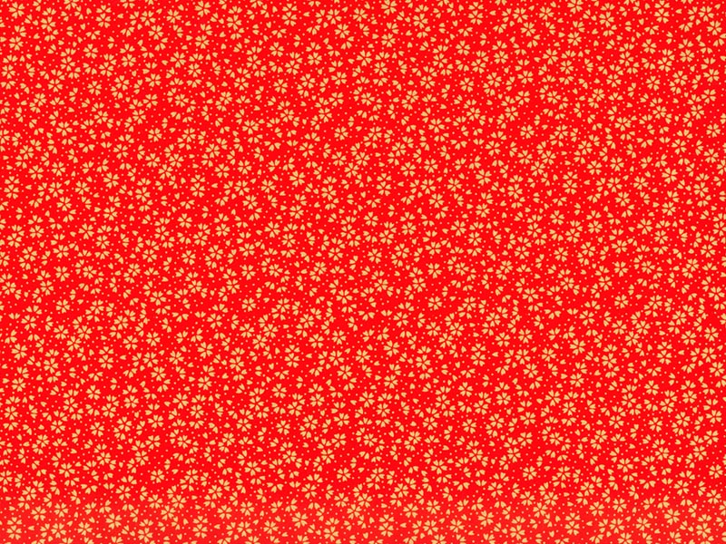 Y-022　小桜（赤）画像