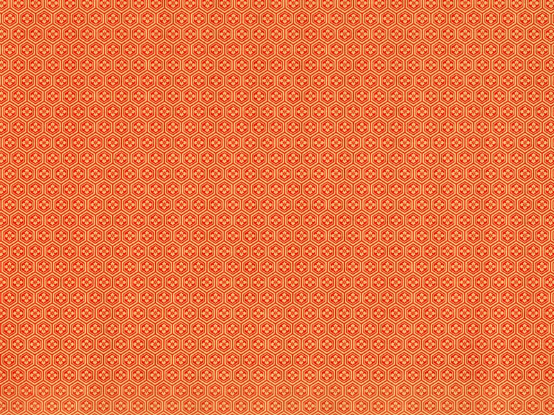 Y-034　亀甲花菱（赤）画像