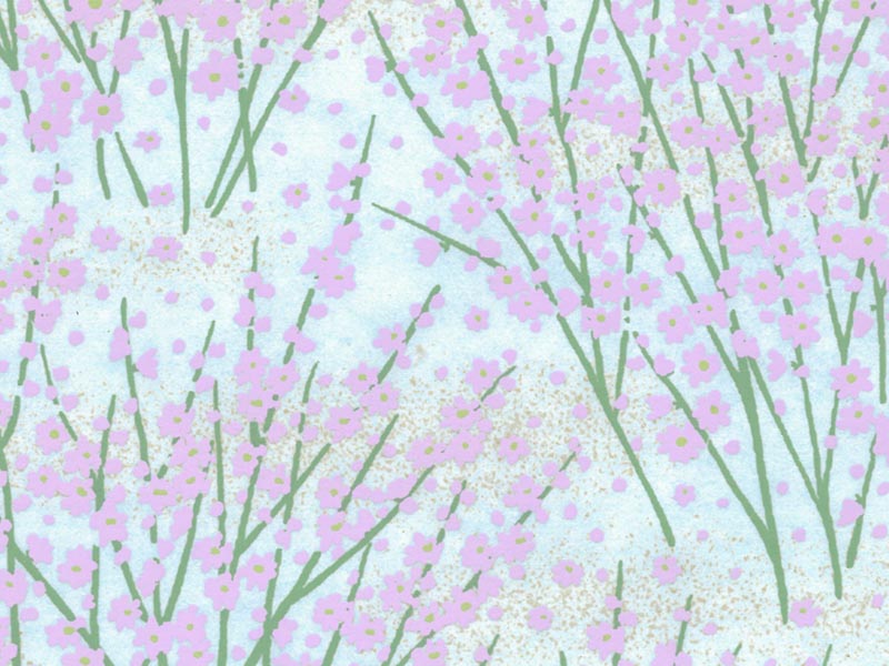 Y-239　かすみ草（紫）画像