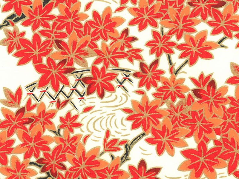 Y-246　紅葉に竹垣画像