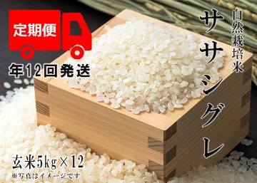 2024年産 新米 自然栽培米【年12回発送お米定期便】《ササシグレ：玄米》5kg 80サイズの画像