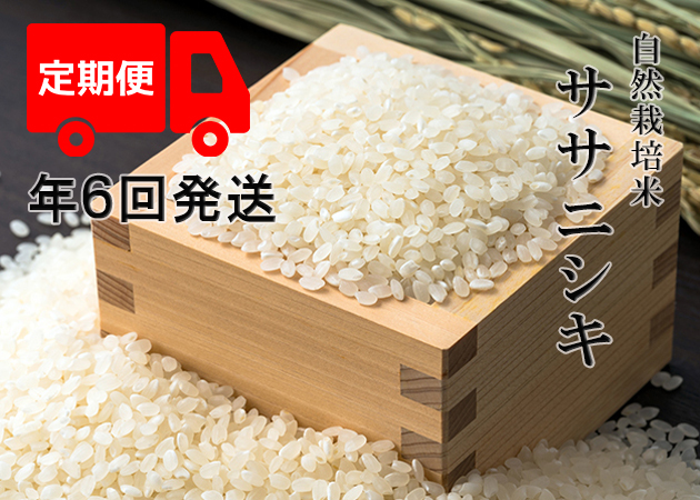 【年6回お米定期便】《ササニシキ：玄米》20kg 100サイズの画像