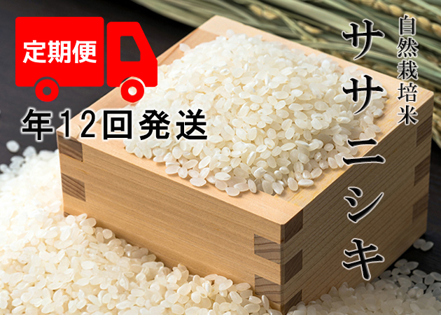 【年12回発送お米定期便】《ササニシキ：玄米》5kg 80サイズの画像