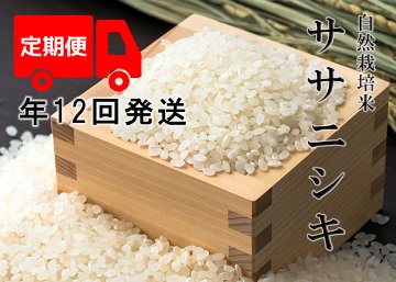 【年12回発送お米定期便】《ササニシキ：玄米》5kg 80サイズの画像