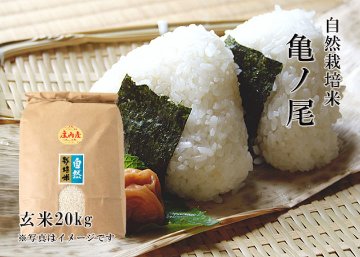 《亀ノ尾：玄米》20kg 80サイズの画像