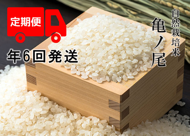 【年6回お米定期便】《亀ノ尾：玄米》5kg 80サイズの画像