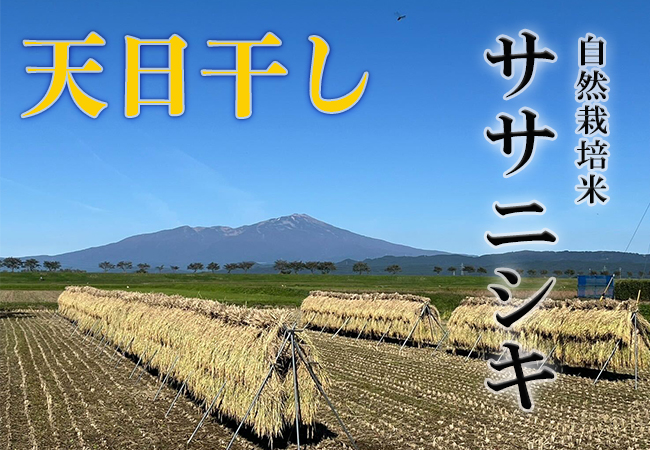 天日干し《ササニシキ：玄米》5kg 80サイズの画像