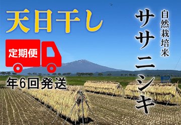 天日干し【年6回お米定期便】《ササニシキ：玄米》5kg 80サイズの画像