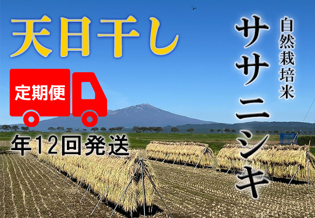 天日干し【年12回発送お米定期便】《ササニシキ：玄米》5kg 80サイズの画像