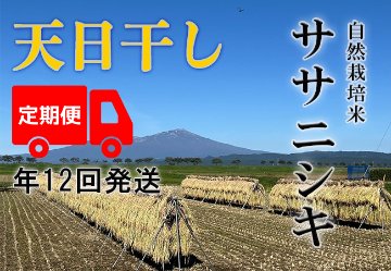 天日干し【年12回発送お米定期便】《ササニシキ：玄米》5kg 80サイズの画像