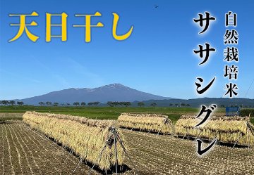 天日干し《ササシグレ：玄米》5kg 80サイズの画像