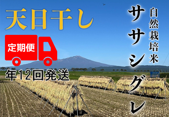天日干し【年12回発送お米定期便】《ササシグレ：玄米》10kg 100サイズの画像