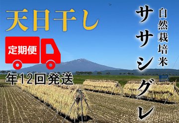 天日干し【年12回発送お米定期便】《ササシグレ：玄米》10kg 100サイズの画像