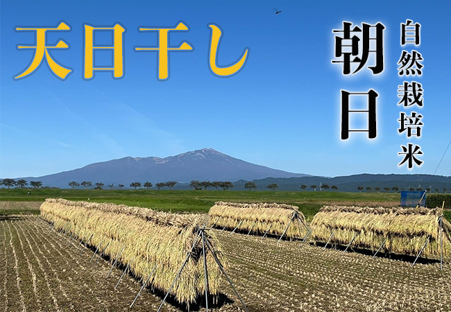 天日干し《朝日：玄米》5kg 80サイズの画像