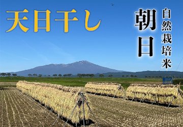 天日干し《朝日：玄米》20kg 100サイズの画像