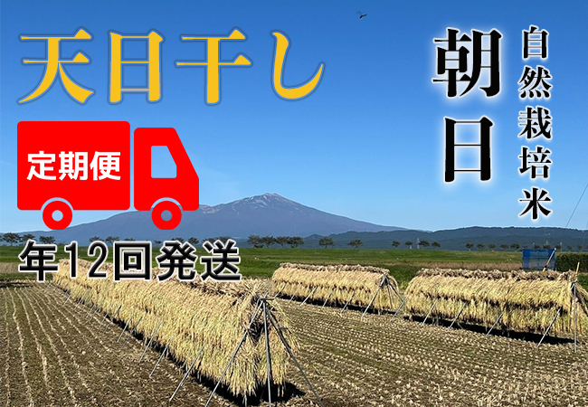 天日干し【年12回発送お米定期便】《朝日：玄米》20kg 100サイズの画像