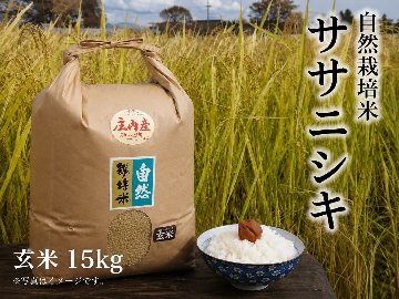 《ササニシキ：玄米》15kg 100サイズの画像
