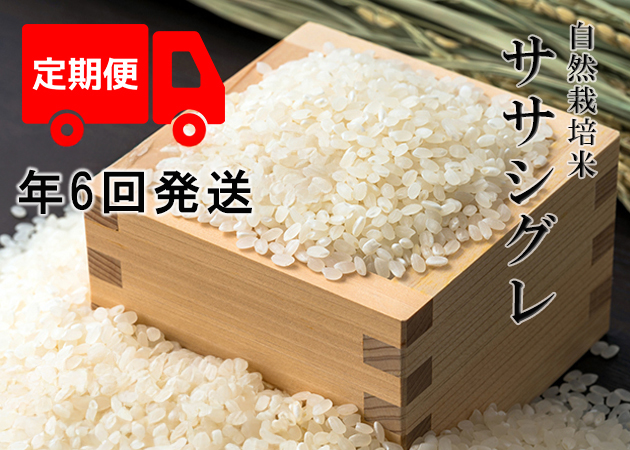 【年6回月お米定期便】《ササシグレ：玄米》15kg 100サイズの画像