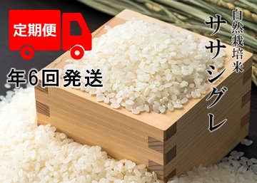 【年6回月お米定期便】《ササシグレ：玄米》15kg 100サイズの画像