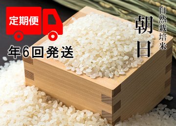 【年6回お米定期便】《朝日：玄米》15kg 100サイズの画像