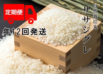 【年12回発送お米定期便】《ササシグレ：玄米》15kg 100サイズの画像