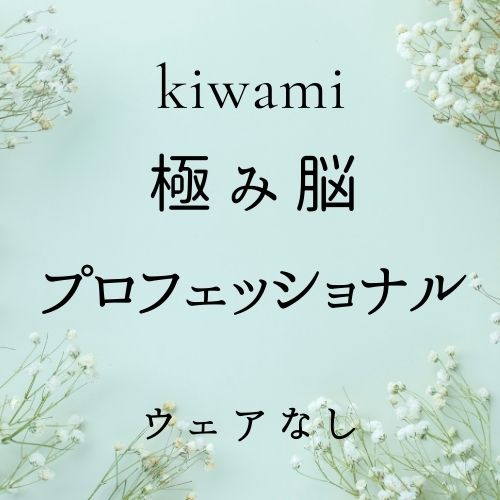 極み脳+プロフェッショナル(ウェア無)の画像