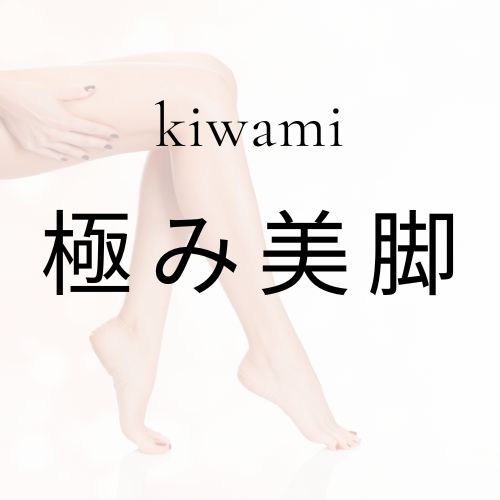 極み美脚コースの画像