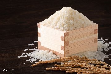 神米～SHINMAI～※8月中旬以降発送（IMC会員割引あり）の画像