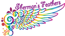 Shaman's feather