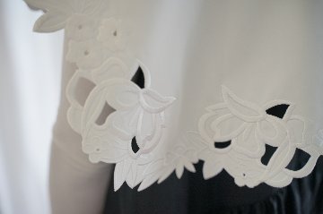 Daisy embroidery white画像