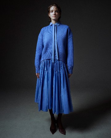 Eleanor saxe blue の画像