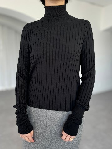 Meryl High Neck blackの画像