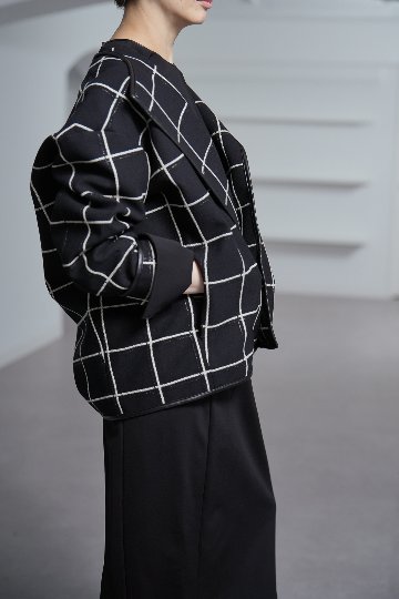 Gaia W Windowpaneの画像