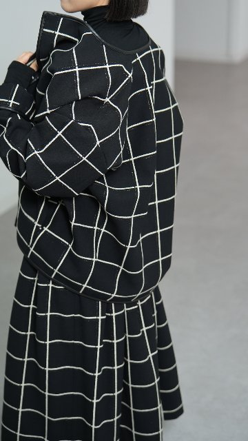 Gaia W Windowpaneの画像