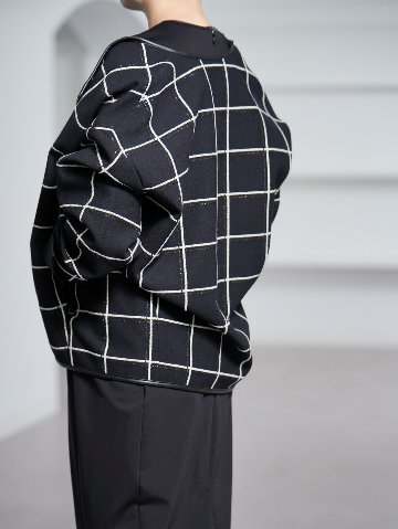 Gaia W Windowpaneの画像