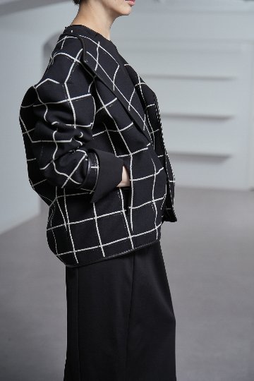 Gaia W Windowpaneの画像